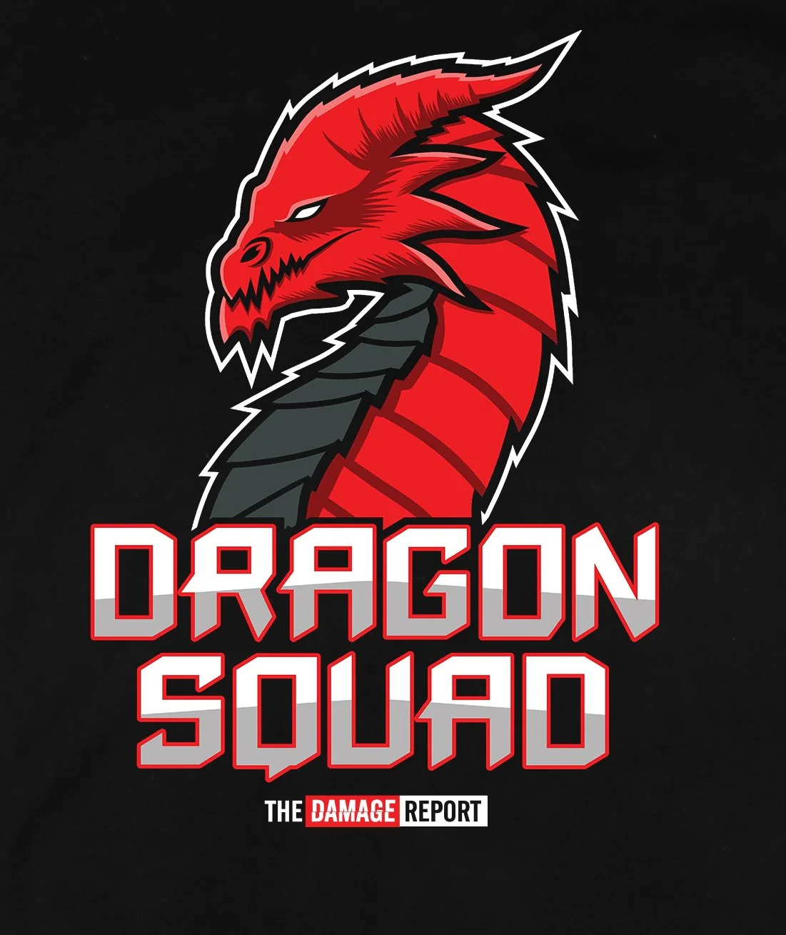 Dragon Squad Logo